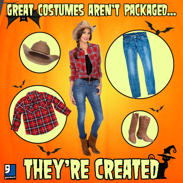 DIY Halloween Costumes from Goodwill Finds